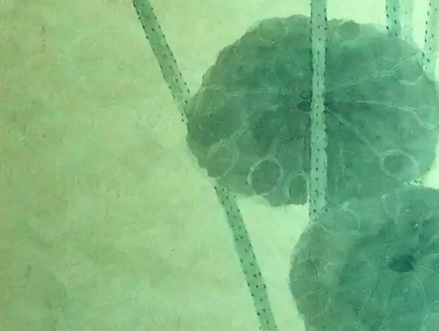 谢稚柳荷画别具特色 谢稚柳荷画别具特色