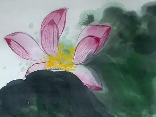 谢稚柳荷画别具特色 谢稚柳荷画别具特色